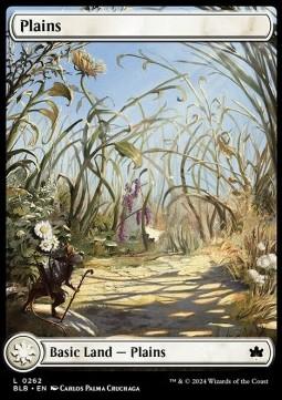 Plains (V.1)