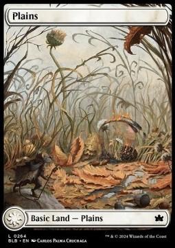 Plains (V.3)