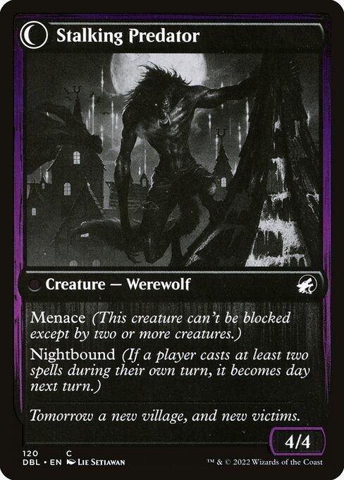 Shady Traveler // Stalking Predator (back)