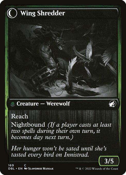 Bird Admirer // Wing Shredder (back)