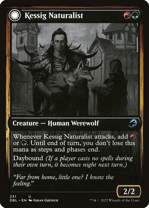 Kessig Naturalist // Lord of the Ulvenwald (front)