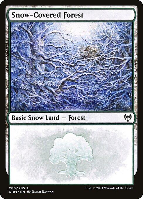 Snow-Covered Forest (V.2)