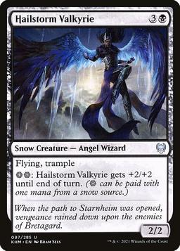 Hailstorm Valkyrie