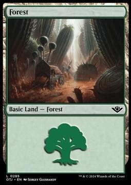 Forest (V.2)