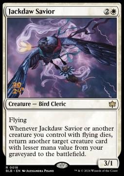 Jackdaw Savior (V.1)