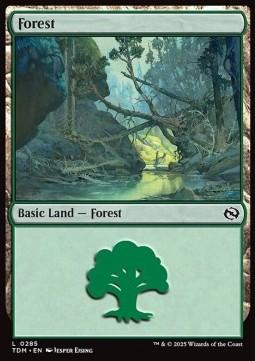 Forest (V.2)