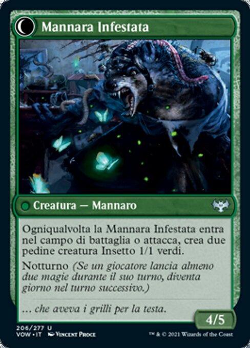 Infestation Expert // Infested Werewolf (back)