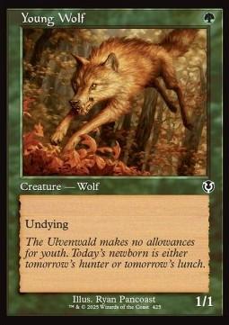 Young Wolf (V.2)
