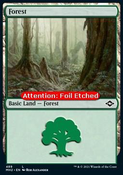 Forest (V.2)