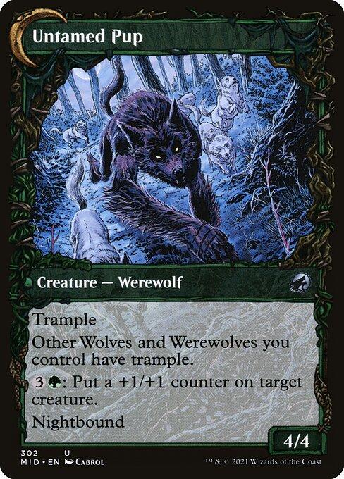 Hound Tamer // Untamed Pup (back)