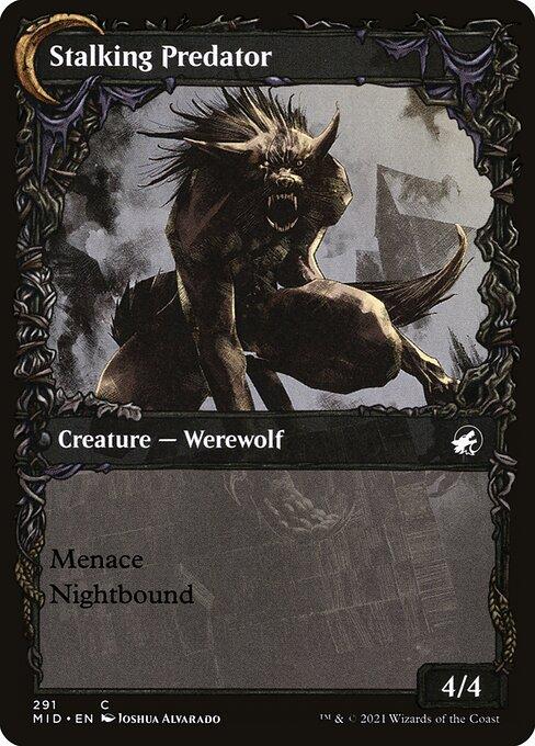 Shady Traveler // Stalking Predator (back)