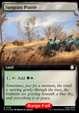 Sungrass Prairie (V.3)