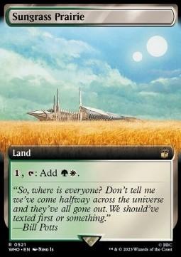 Sungrass Prairie (V.1)