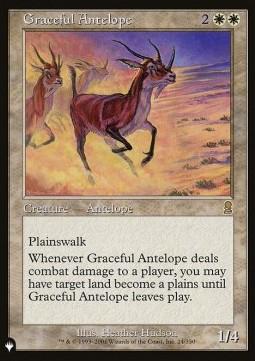 Graceful Antelope