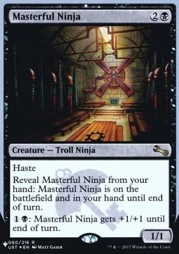 Masterful Ninja