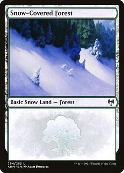 Snow-Covered Forest (V.1)